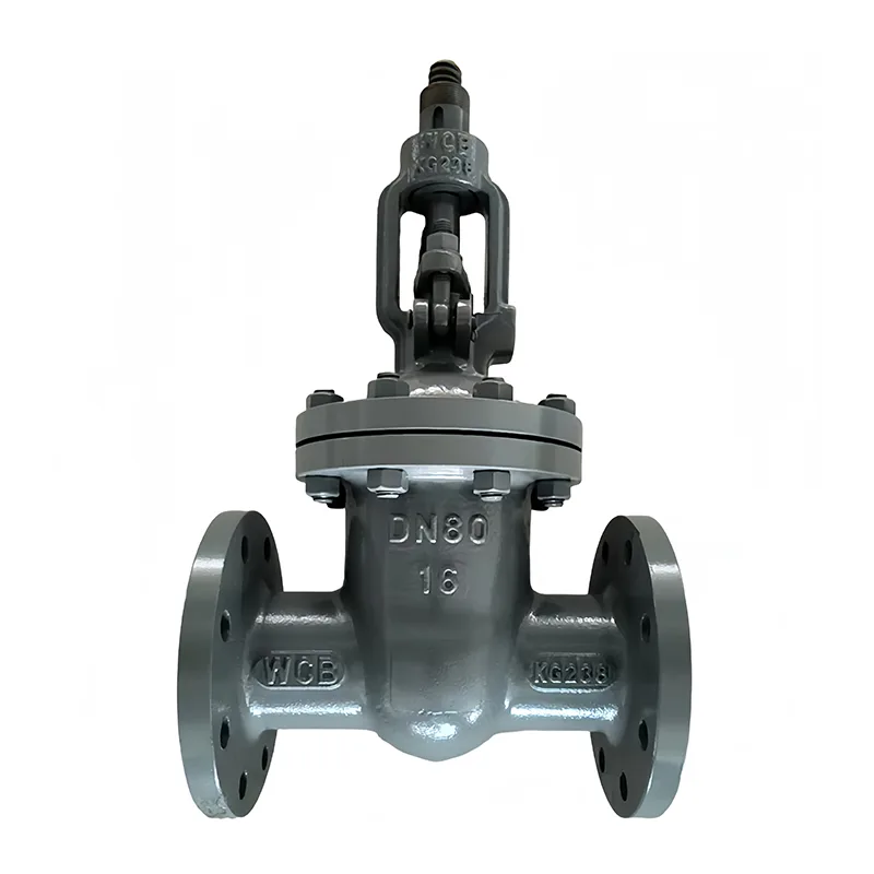 Valve à porte à bride en acier au carbone
