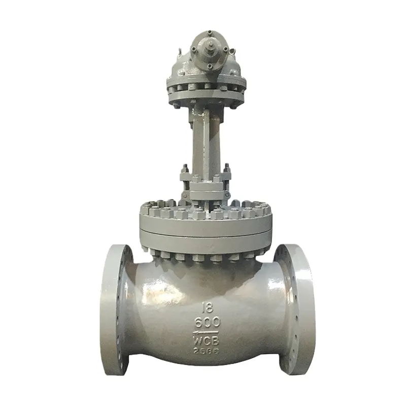 Valve à globu resistente à a corrosione