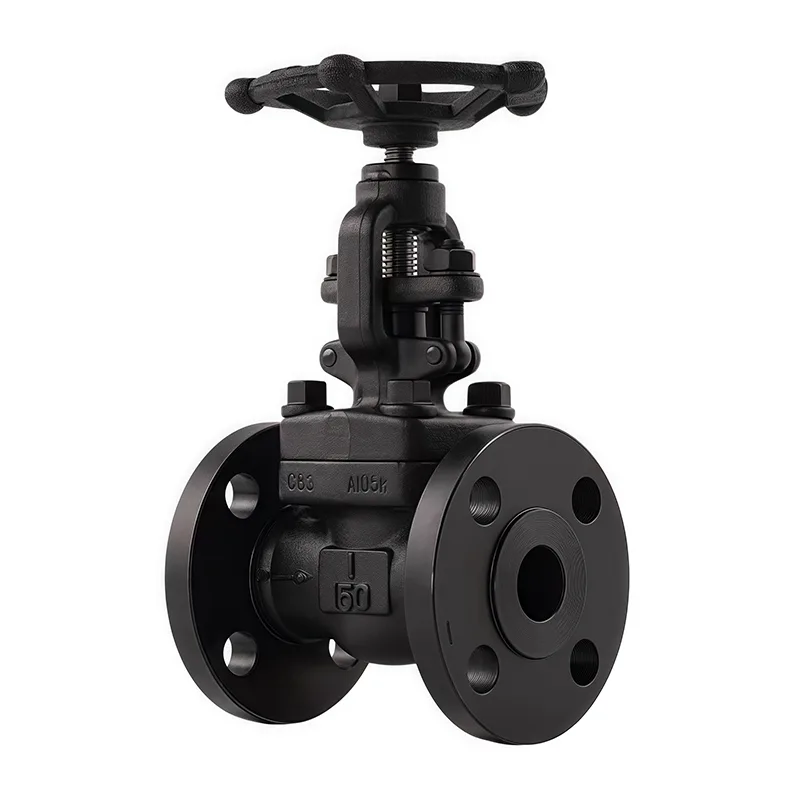 Valve à globe à bride forgée