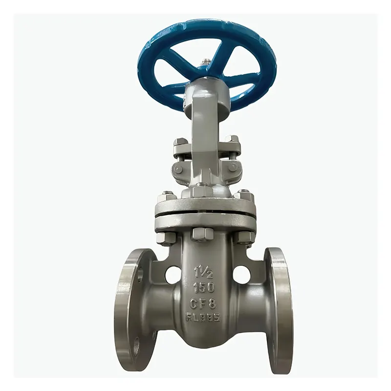 Valve à porte à bride en acier inoxydable 304