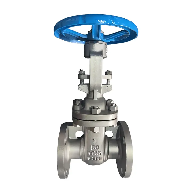 Valve à porte à bride en acier inoxydable