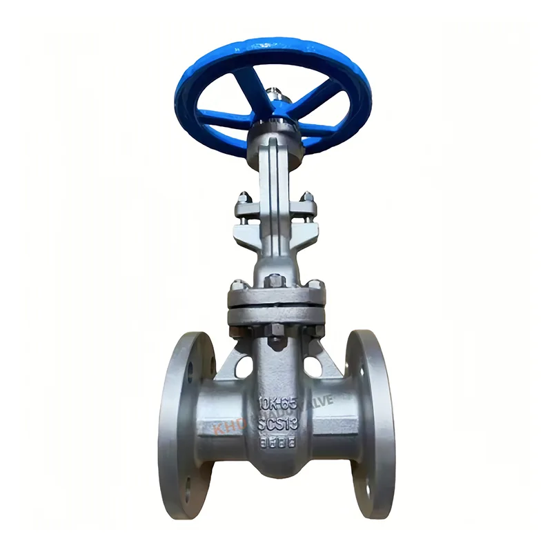 Valve à porte JIS en acier inoxydable
