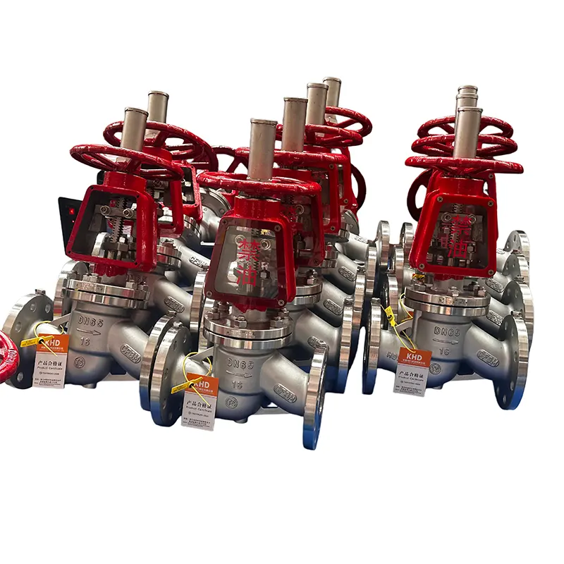 Valve à globu d'ossigenu in acciaio inox